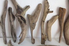 Schwemmholz Treibholz  12 Skulpturen - extrem schön-  L 16-30 cm Krumme Engel