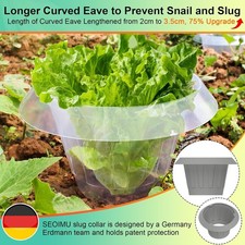 20 Stück  Schneckenkragen