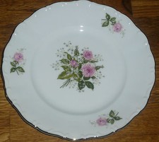 1 Kuchenteller 19 cm  Seltmann