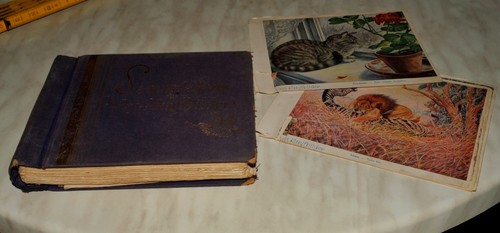 Voss kunstbilder sammelalbum - voss,