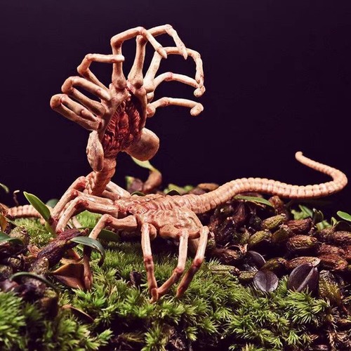 Zubehör figuren alien - zubehör,