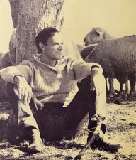 Cy Twombly. Bilder / Paintings 1952-1976. Volume I (alles Erschienene / all publ