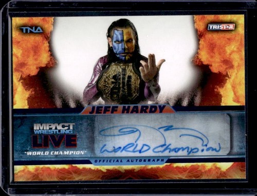 Jeff hardy world champion - hardy,
