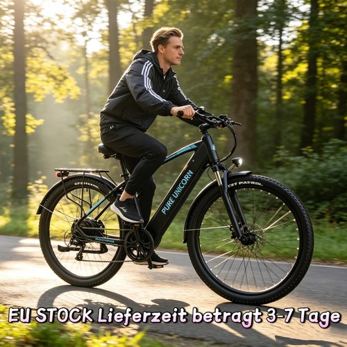 Zoll elektrofahrrad 750w - 29,