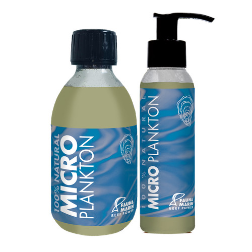 Fauna marin micro - fauna,