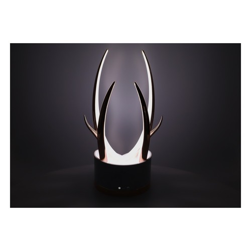 Glenfiddich whiskey led - whiskey,