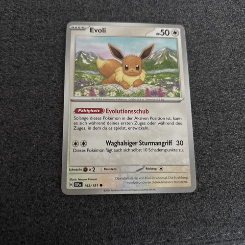 Evoli 143 191 - 143/191, stürmische