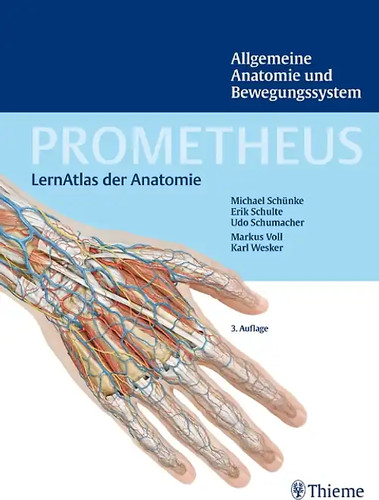 Prometheus allgemeine anatomie - prometheus,