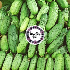 Gurke ARKANSAS LITTLE LEAF