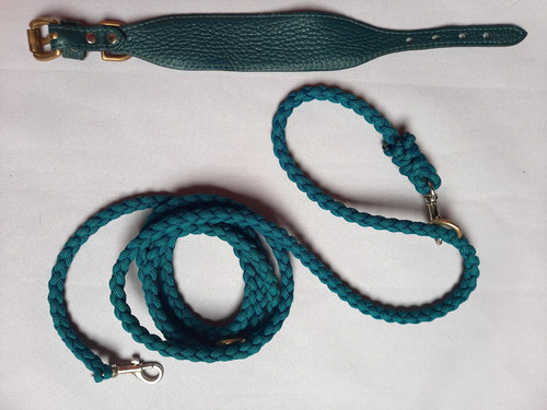 Hundehalsband leine - (leder),