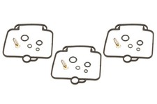 Vergaser Reparatur Satz 3