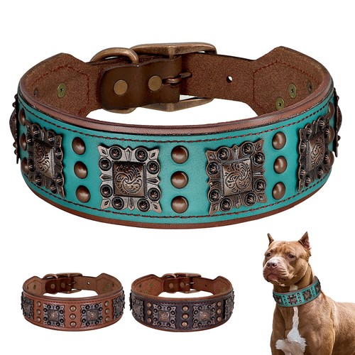 Hundehalsband nietenhalsband - hundehalsband,