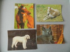 4 niedliche Tier Postkarten