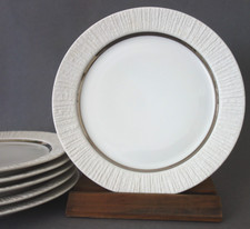 6 Kuchenteller Thomas Arcta Platinrand Silberrand d 19,2 cm TOP