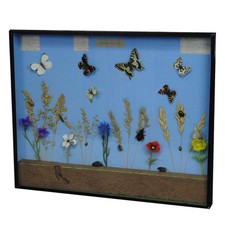 Vintage schaukasten mit - vintage,