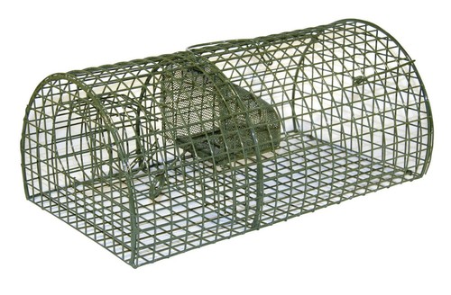 Ratten massenfänger multirat - ratten,
