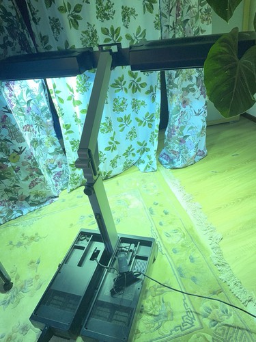 Philips original home solaria - original,