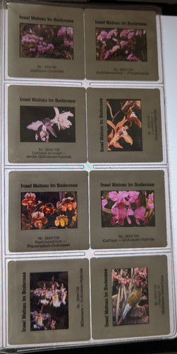 Original farbdias insel - original,