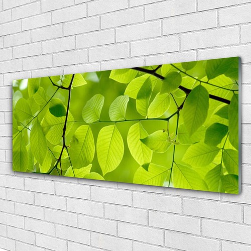 Acrylglasbilder wandbilder aus - acrylglasbilder,