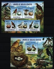 Guinea Bissau 2013 - Vögel