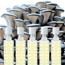 Flüssigmyzel Sparpaket |