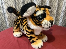 Roarin’ Tyler, the Playful