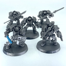 Brotherhood Terminators - Grey
