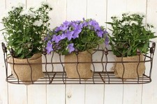 Pflanzkorb für die Wand 74 cm