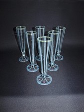 6 BIERTULPEN Vera Walther