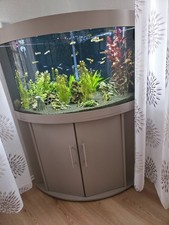 200L Juwel Eckaquarium