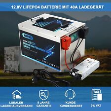 Lifepo4 Akku 12V 100Ah 200Ah