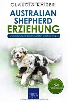 Australian shepherd erziehung - shepherd,