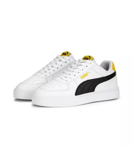 Puma caven - puma,