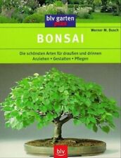 Bonsai - Die schönsten Arten für draußen und drinnen - Anziehen - Gestalten