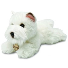 Aurora Miyoni West Highland