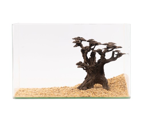 Natureholic stone bonsai - stone,