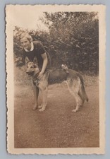 Magpie Sitting on German