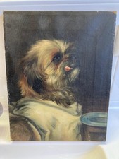 Shih Tzu  Ölbild  33 X 26