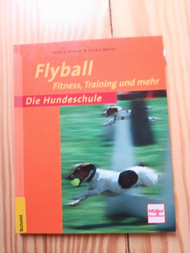 Flyball fitness training - flyball,