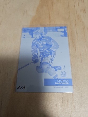 Del eishockey tradingcard - eishockey,