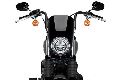 Puig anarchy für - anarchy, harley