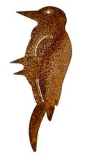 Edelrost specht rost - specht,