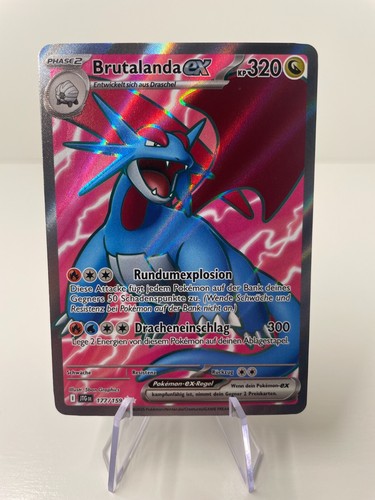 Pokémon reisegefährten - pokémon,