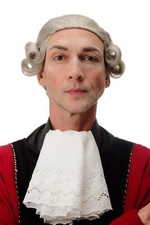 Perücke Qualitätsperücke Herren Theater Barock Lord Edelmann Adliger grau F2588