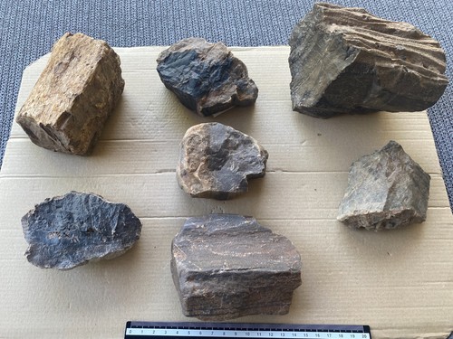 Faserreiches versteinertes - faserreiches,