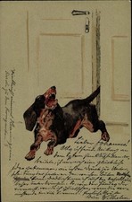 Präge Litho Bellender Dackel an einer Tür, Dachshund - 10231368