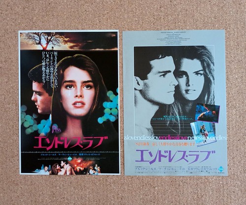 Endless love movie flyer - movie, 2