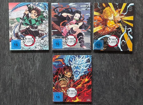 Demon slayer staffel - slayer,