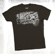 Staffordshire Bullterrier SBT