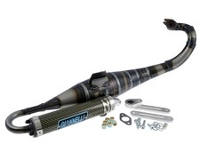 Auspuff Giannelli Reverse